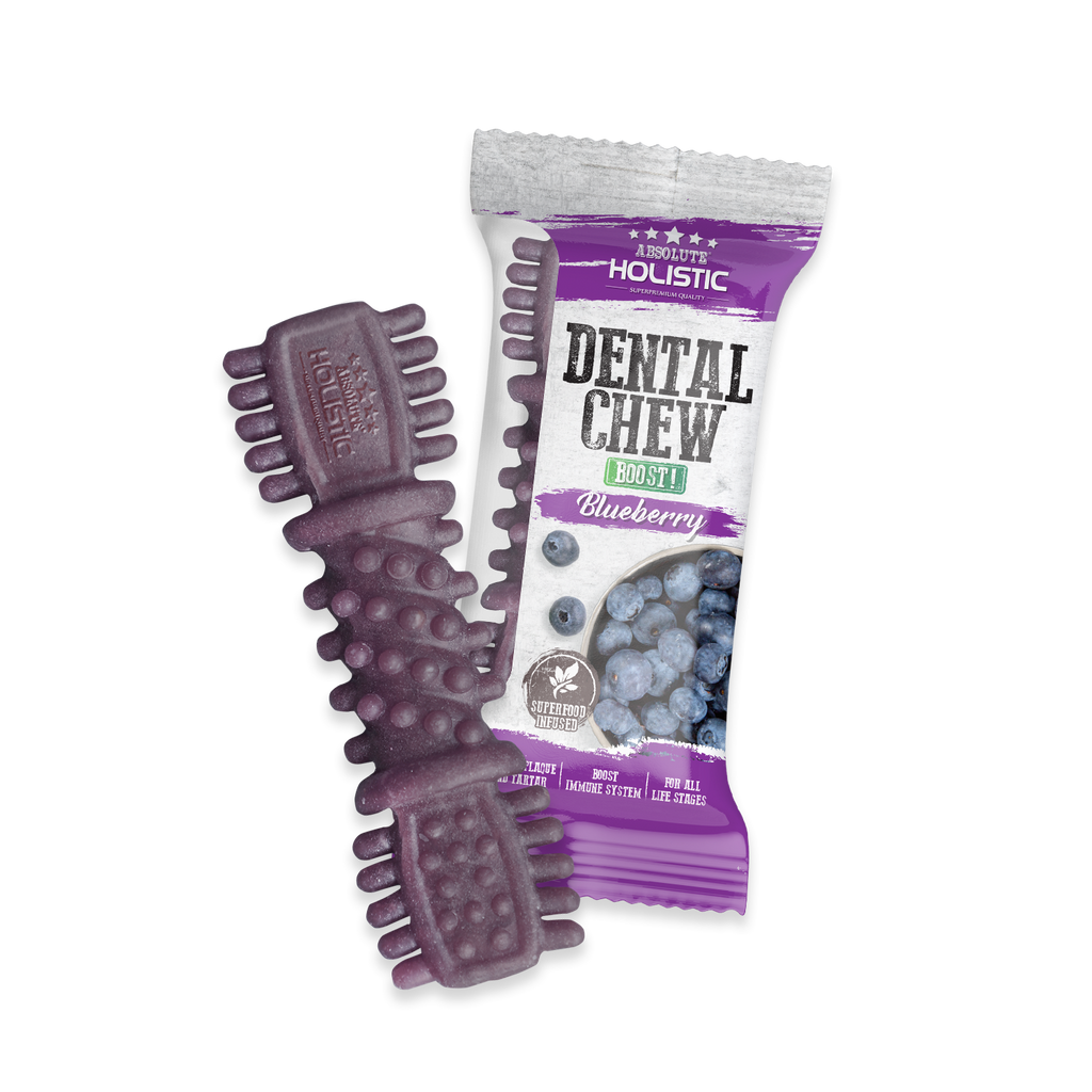 Absolute Holistic BOOST Dental Chew for Dogs - Blueberry (4") | Infused with Superfood.