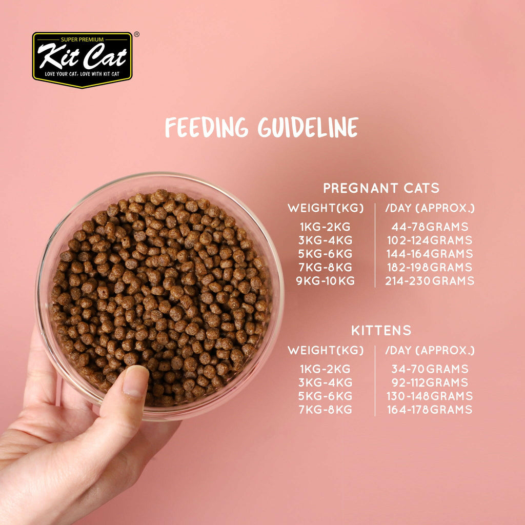 Kit Cat No Grain Dry Cat Food - Chicken & Turkey (1kg).
