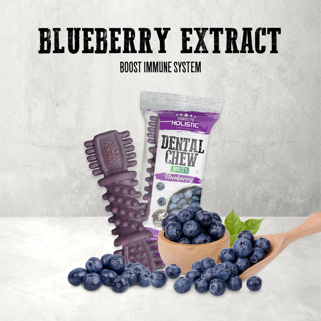 Absolute Holistic BOOST Dental Chew for Dogs - Blueberry (4") | Infused with Superfood.