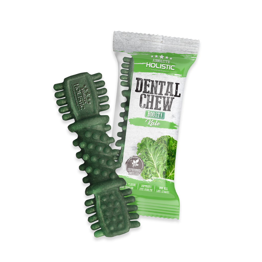 Absolute Holistic BOOST Dental Chew for Dogs - Kale (4") | Infused with Superfood.