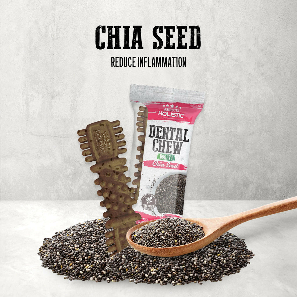 Absolute Holistic BOOST Dental Chew for Dogs - Chia Seed (4") | Infused with Superfood.